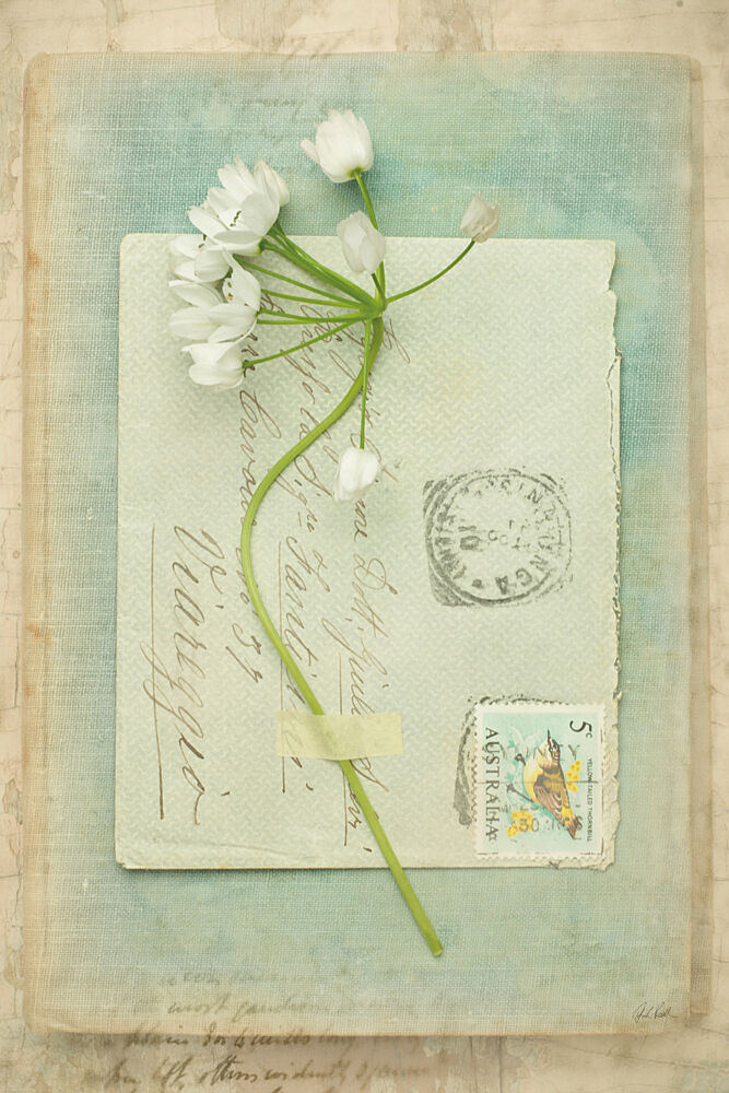 Poets Garden V art print by Deborah Revell for $57.95 CAD