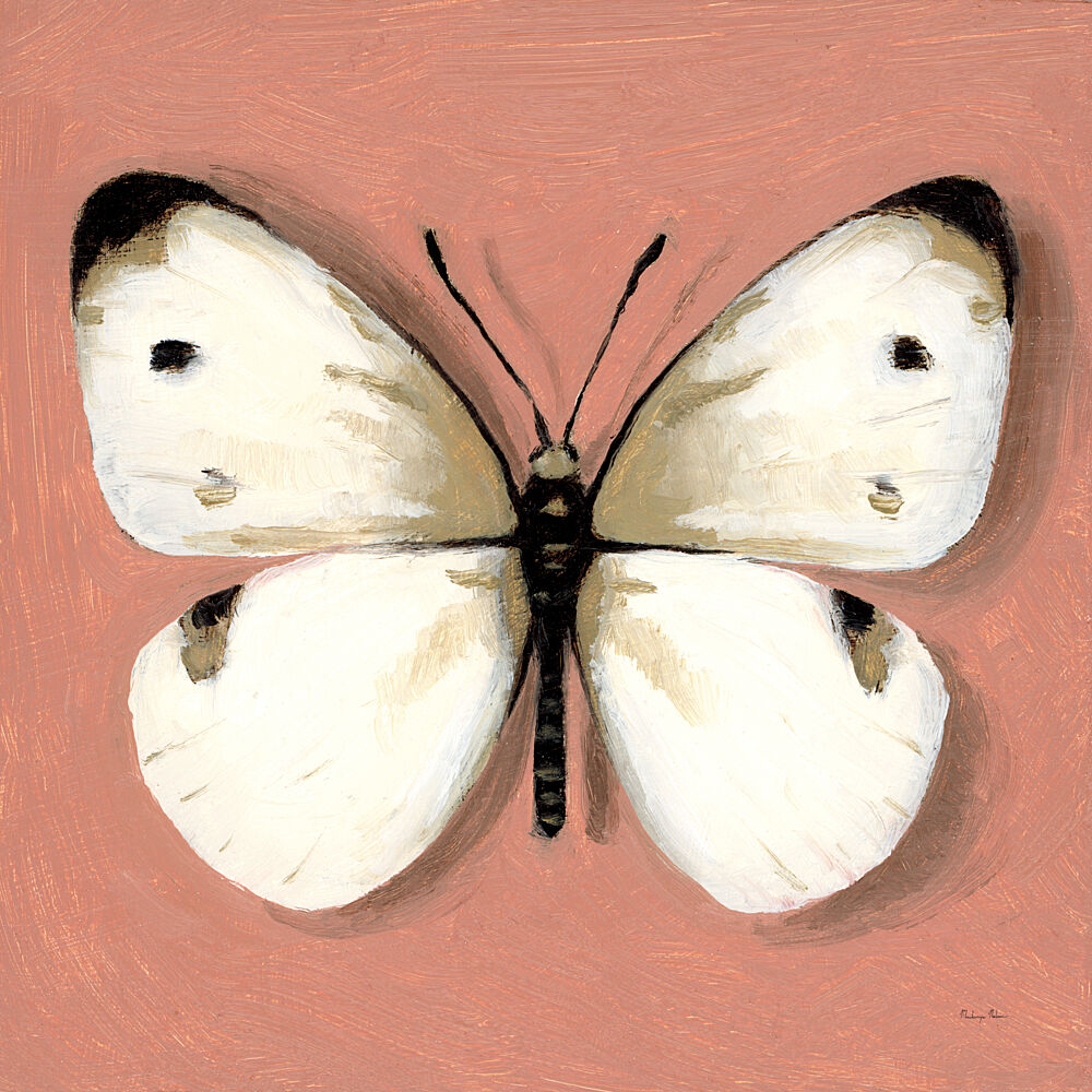 Cabbage White Butterfly art print by Mackenzie Nelson for $57.95 CAD