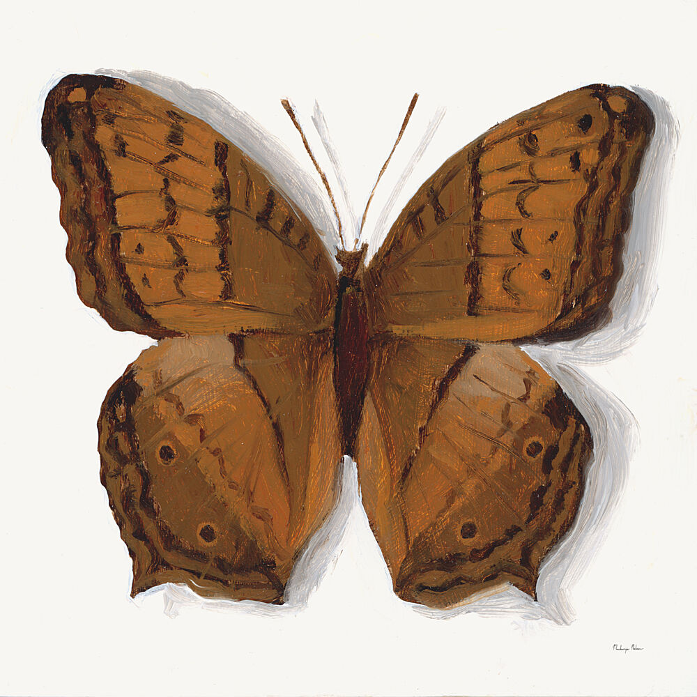 Common Cruiser Butterfly art print by Mackenzie Nelson for $57.95 CAD