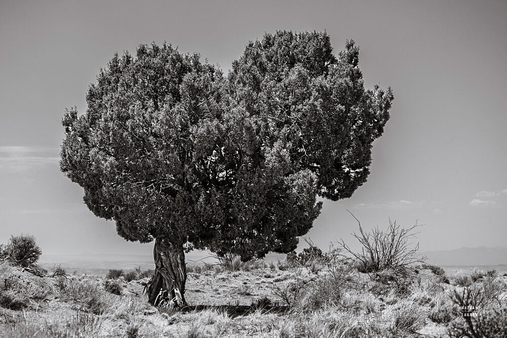 Across the Border II art print by Nathan Larson for $57.95 CAD