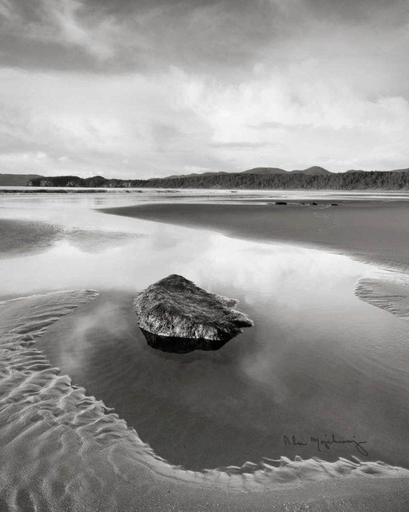 Shi Shi Beach - Low Tide I art print by Lisa Audit for $57.95 CAD
