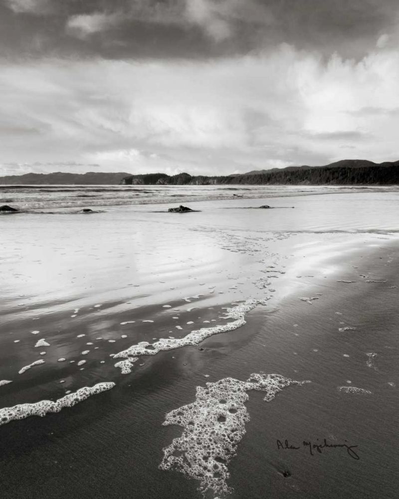Shi Shi Beach - Low Tide II art print by Lisa Audit for $57.95 CAD