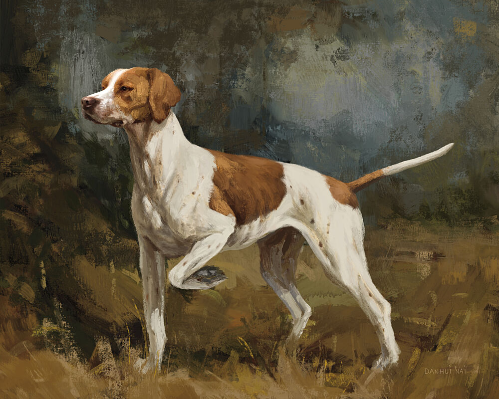 Hunting Dog Portrait II art print by Danhui Nai for $57.95 CAD