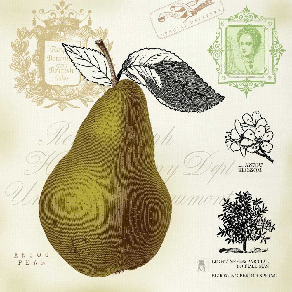 Pear Notes art print by Studio Mousseau for $57.95 CAD