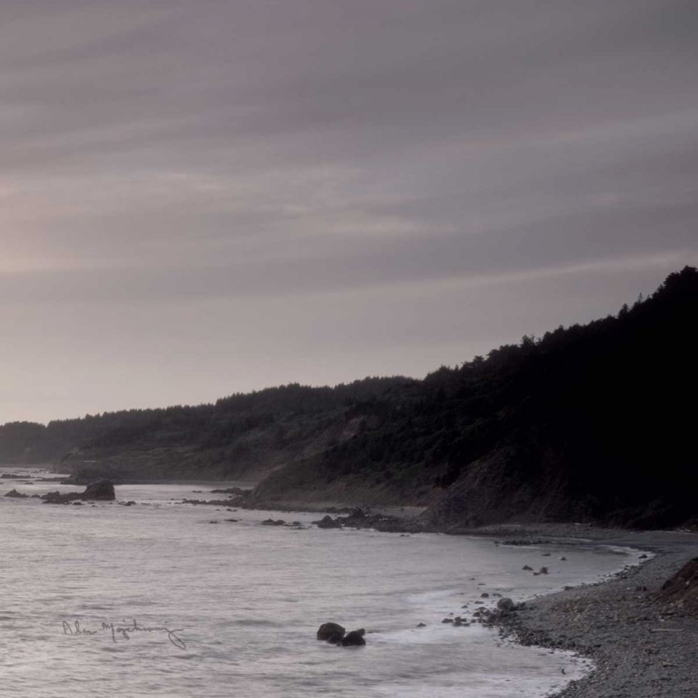 Shoreline Triptych Right art print by Lisa Audit for $57.95 CAD