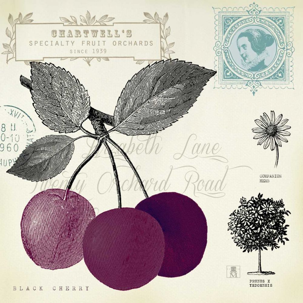 Cherry Notes art print by Studio Mousseau for $57.95 CAD