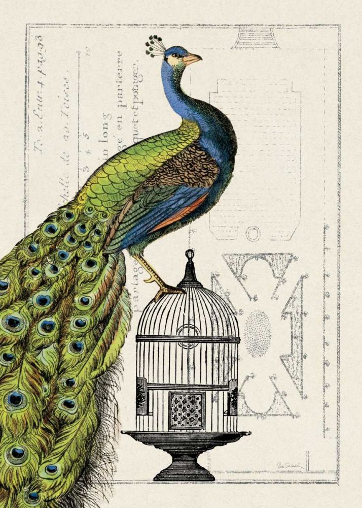 Peacock Birdcage I art print by Wild Apple Portfolio for $57.95 CAD