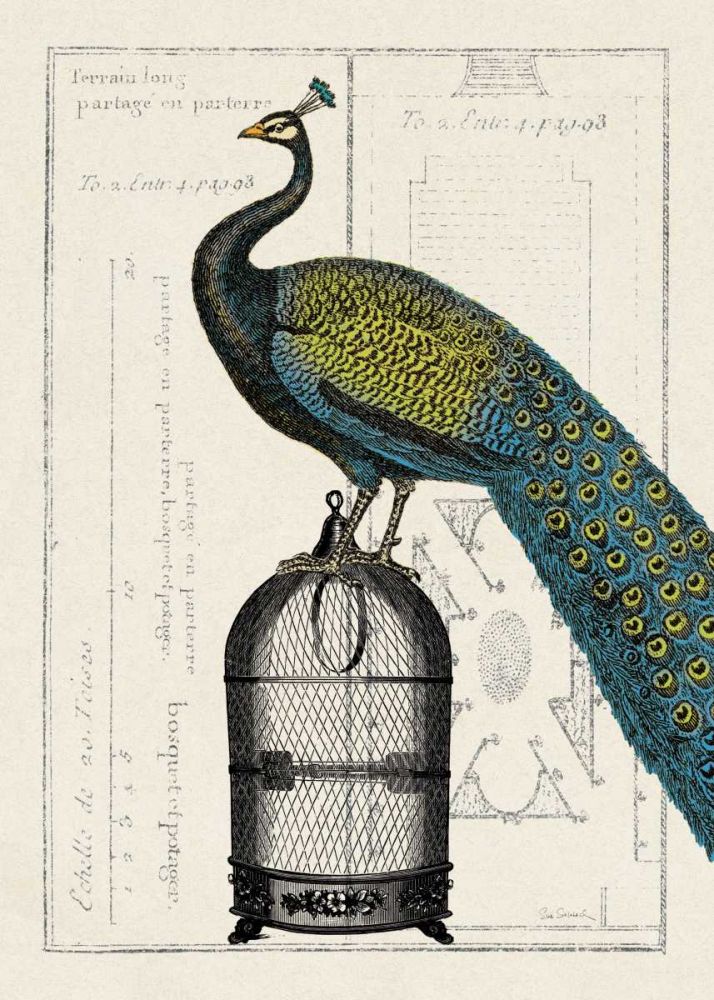 Peacock Birdcage II art print by Wild Apple Portfolio for $57.95 CAD