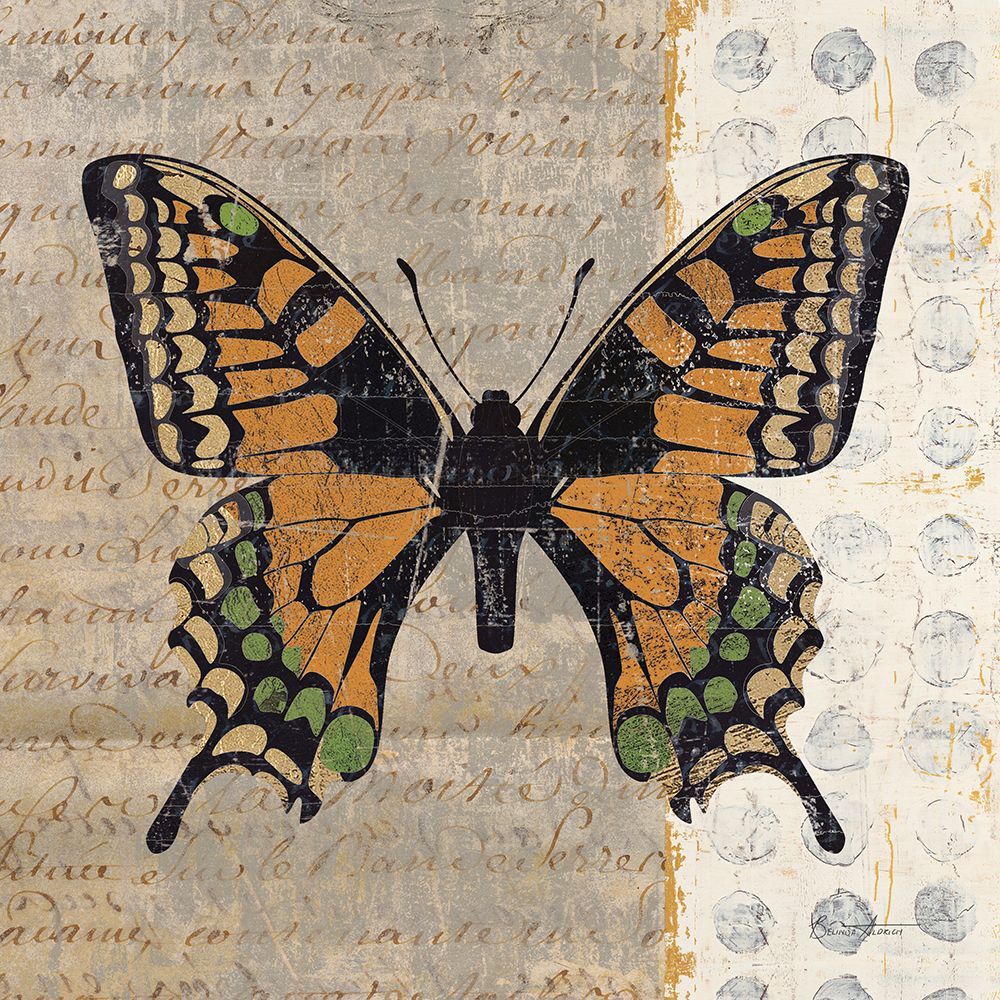 Belindas Butterfly IV art print by Belinda Aldrich for $57.95 CAD