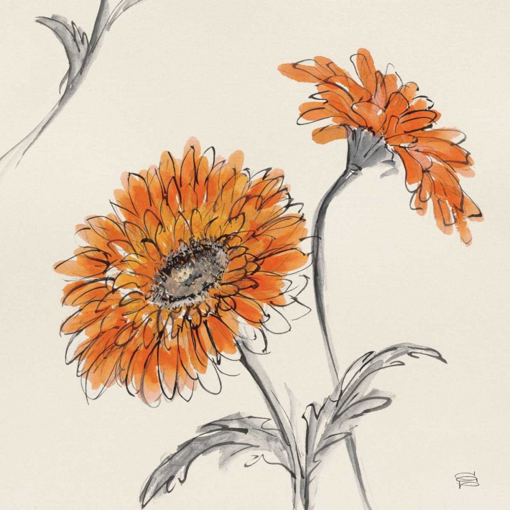 Orange Gerbera II art print by Chris Paschke for $57.95 CAD