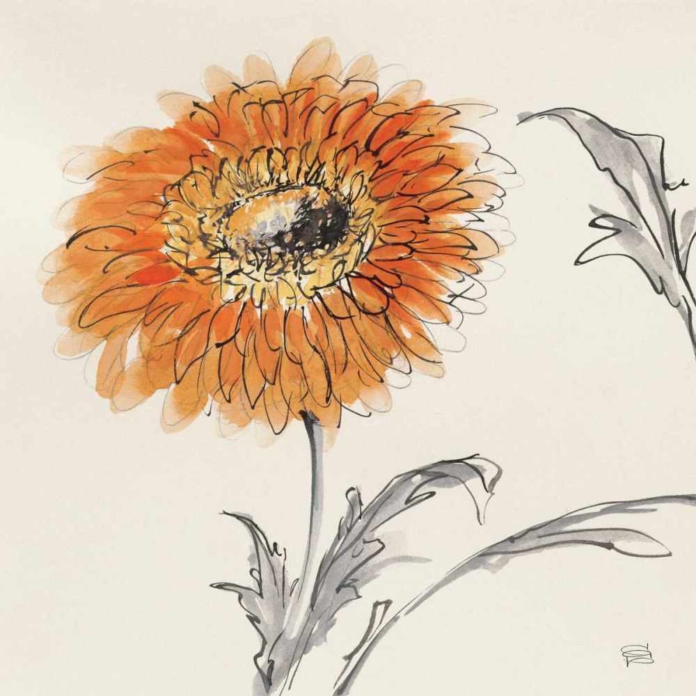 Orange Gerbera III art print by Chris Paschke for $57.95 CAD