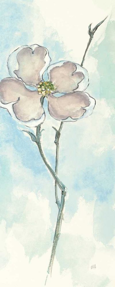 Solitary Dogwood II art print by Chris Paschke for $57.95 CAD