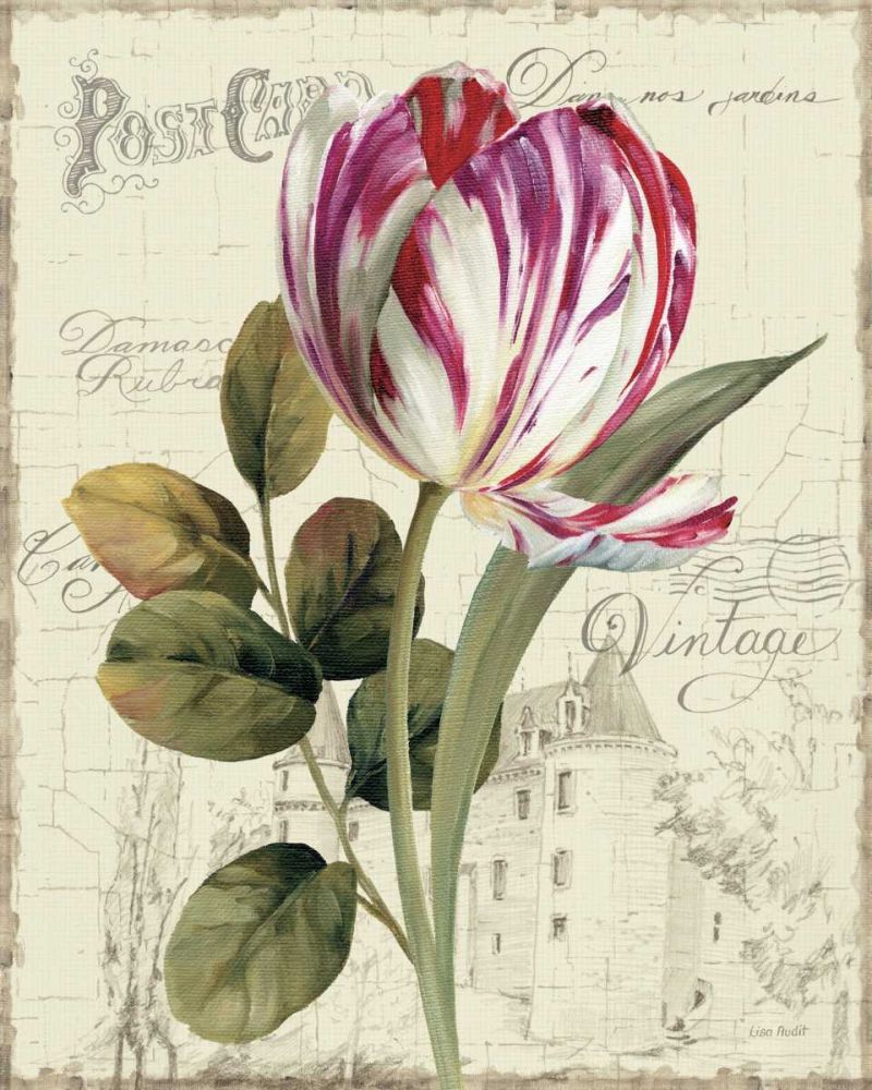 Garden View II - Tulip art print by Lisa Audit for $57.95 CAD