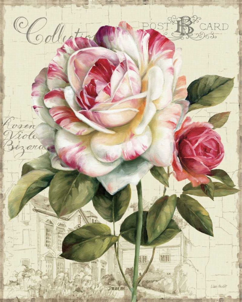 Garden View III - Rose art print by Lisa Audit for $57.95 CAD