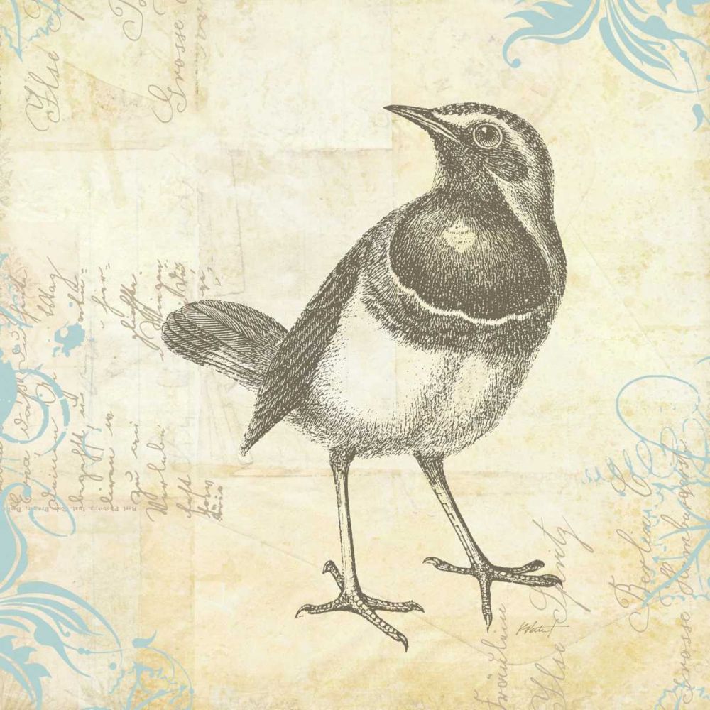 Engraved Birds II art print by Katie Pertiet for $57.95 CAD