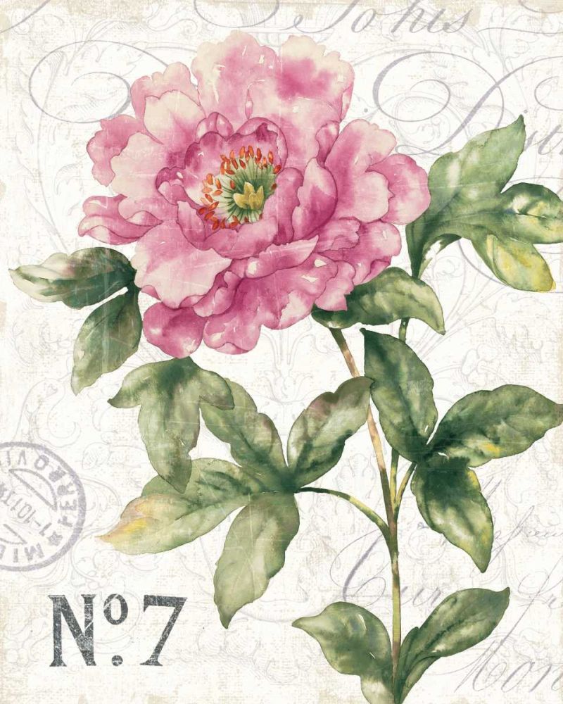 Bloom I art print by Wild Apple Portfolio for $57.95 CAD