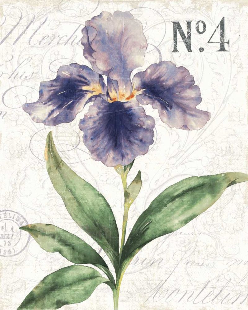 Bloom II art print by Wild Apple Portfolio for $57.95 CAD