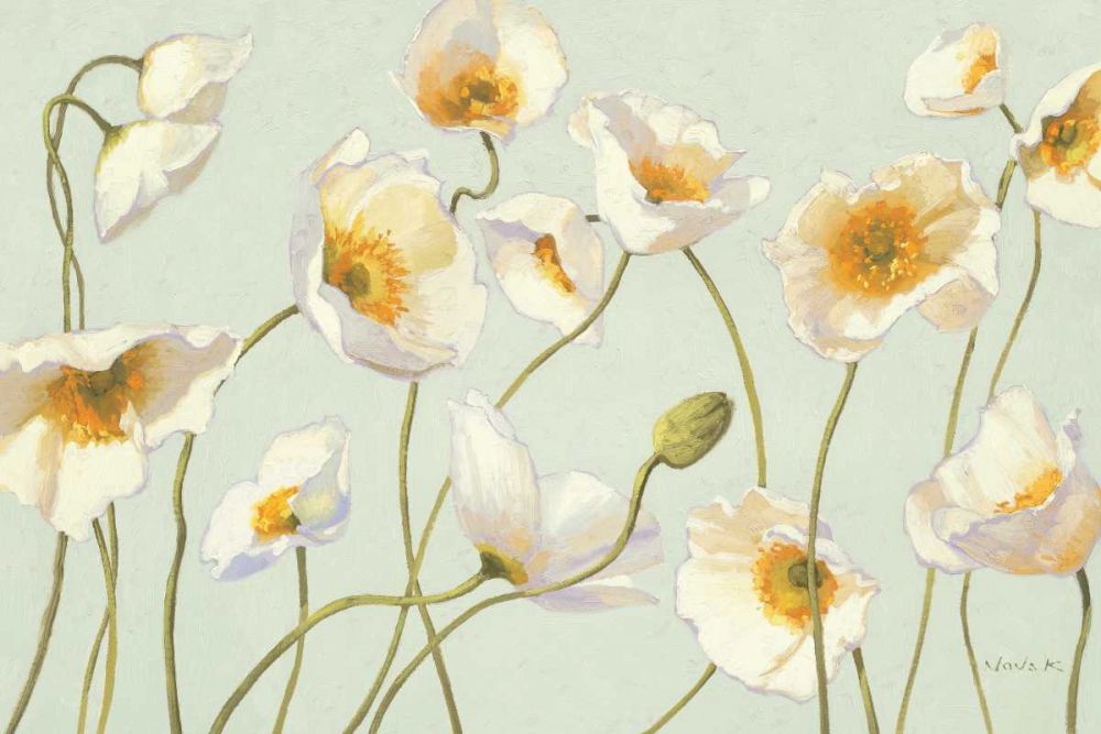 White and Bright Poppies art print by Shirley Novak for $57.95 CAD