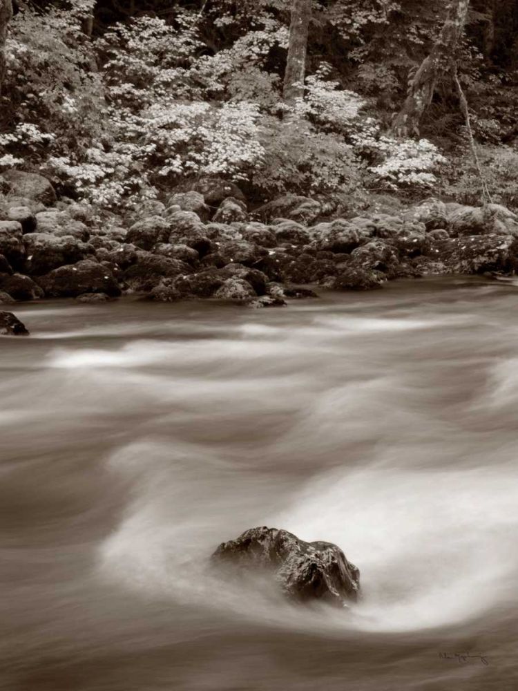 Nooksack River North Cascades art print by Lisa Audit for $57.95 CAD
