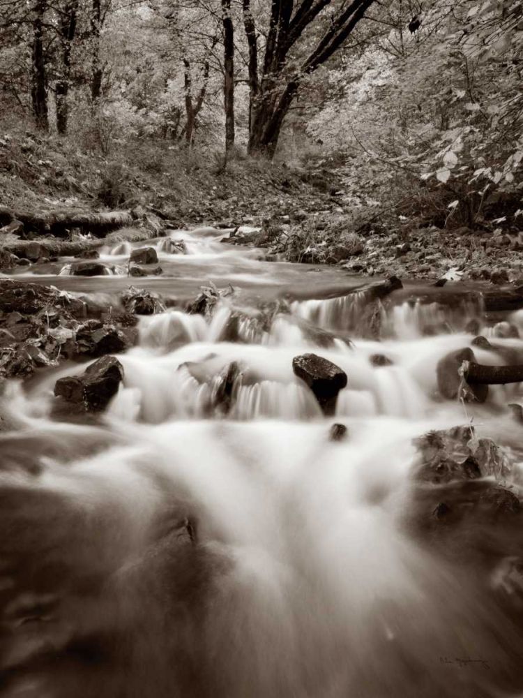 Wahkeena Creek art print by Lisa Audit for $57.95 CAD