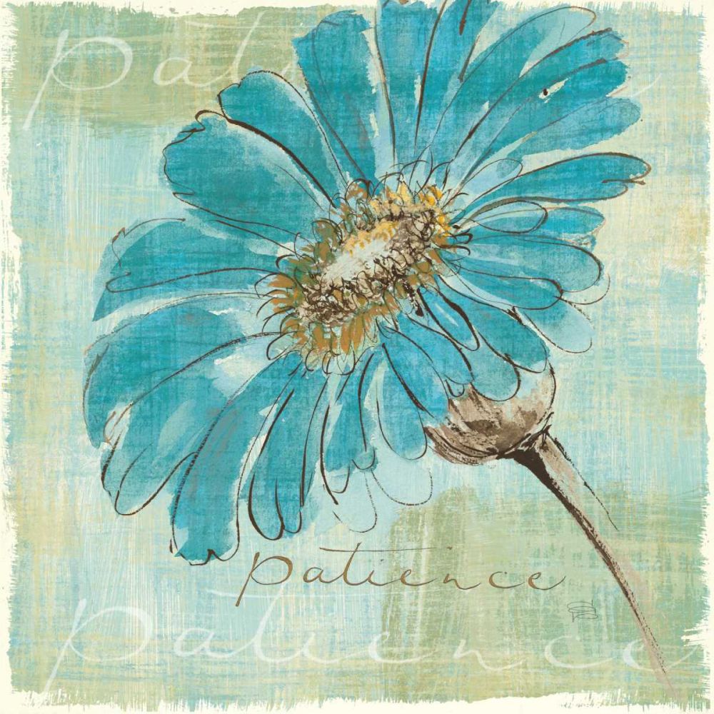 Spa Daisies II art print by Chris Paschke for $57.95 CAD