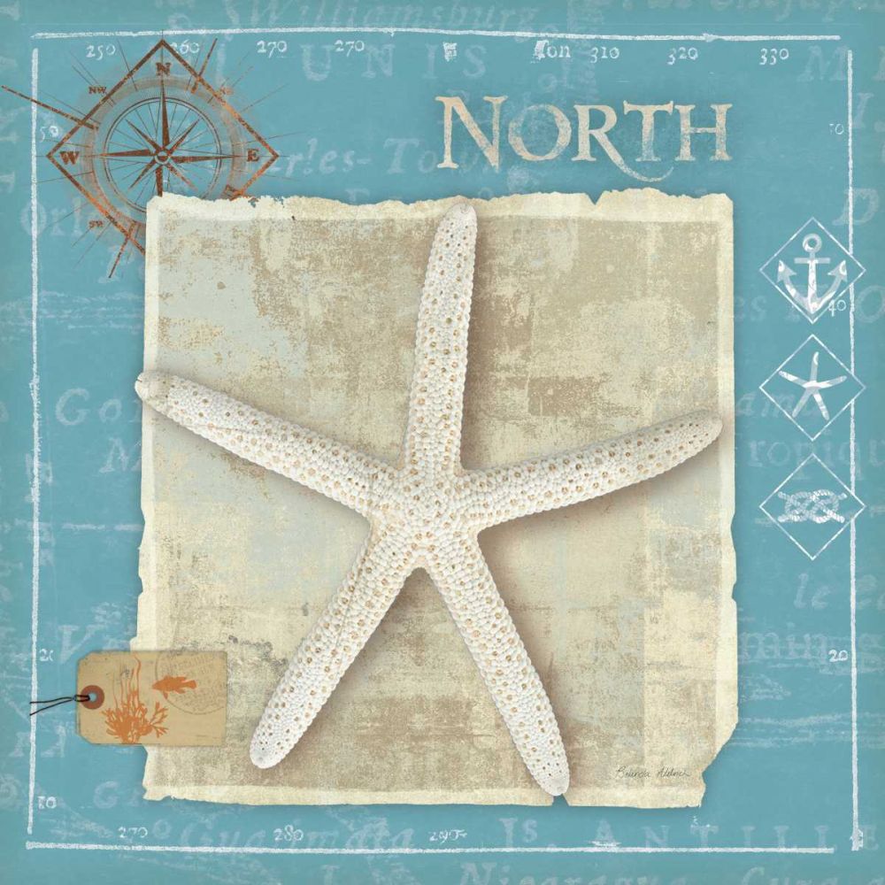 Points North art print by Belinda Aldrich for $57.95 CAD
