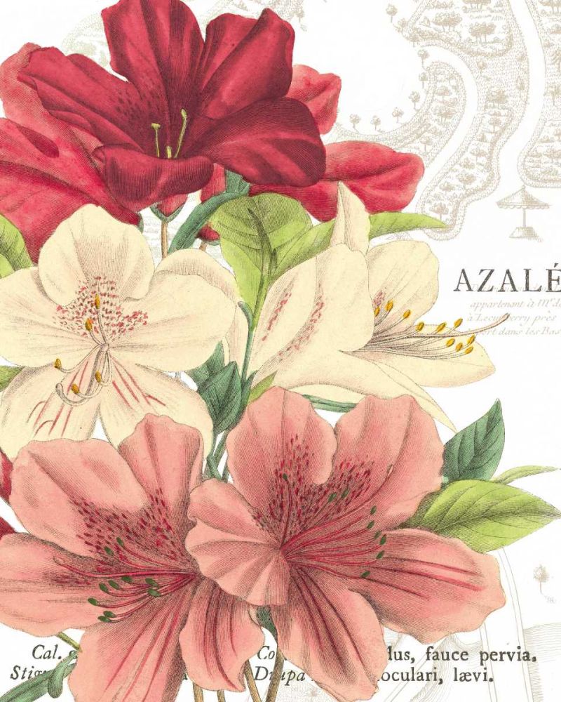 Azalee Jardin II art print by Wild Apple Portfolio for $57.95 CAD