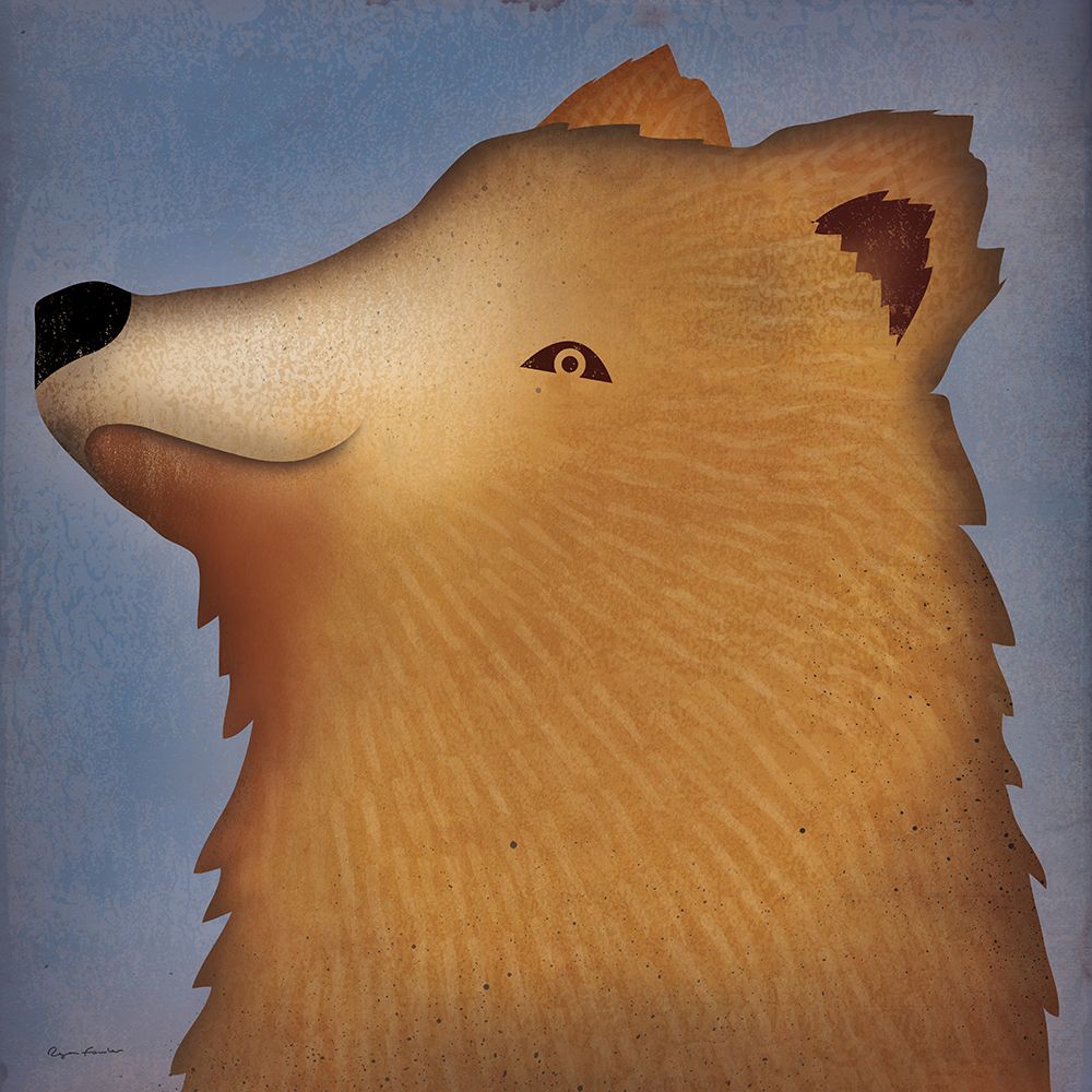 Brown Bear Wow art print by Ryan Fowler for $57.95 CAD