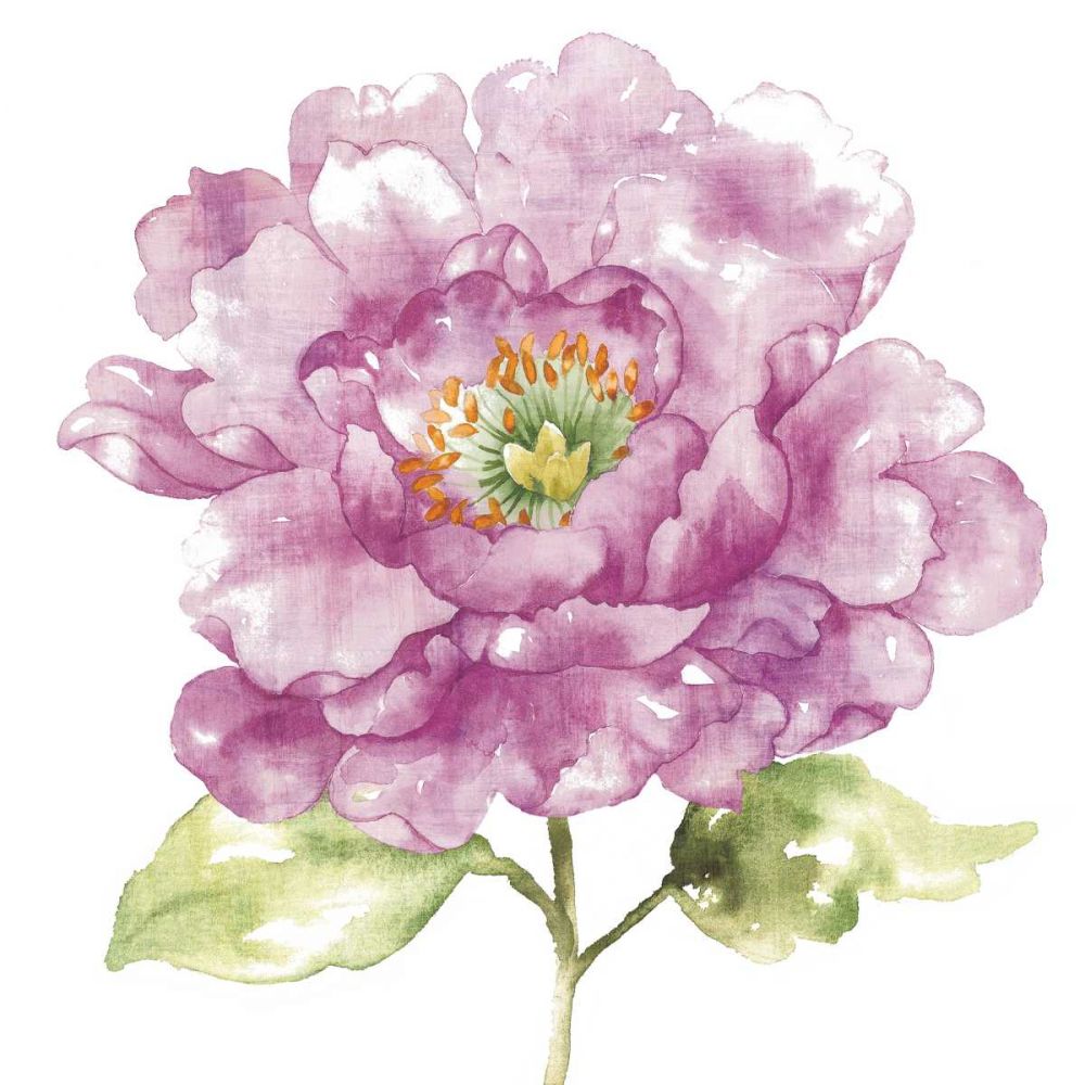 Water Flower I art print by Wild Apple Portfolio for $57.95 CAD