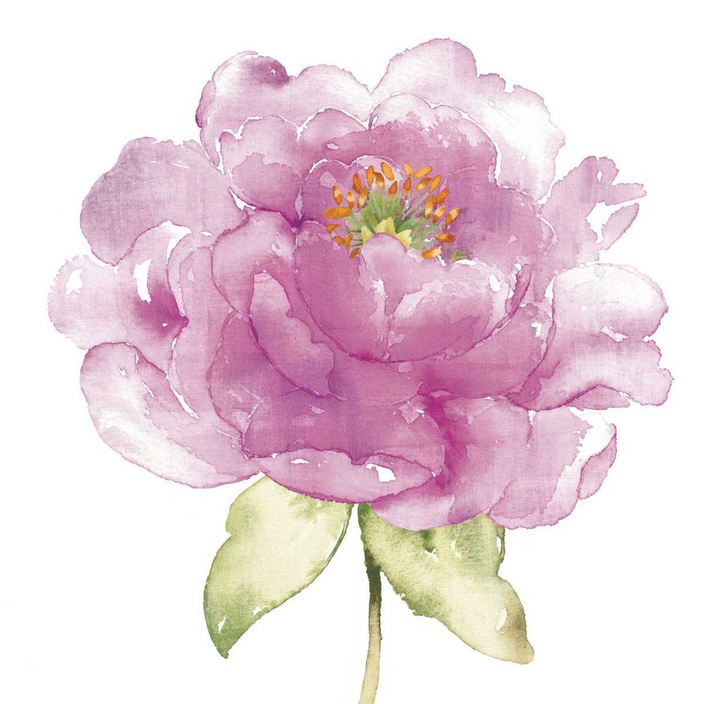 Water Flower II art print by Wild Apple Portfolio for $57.95 CAD