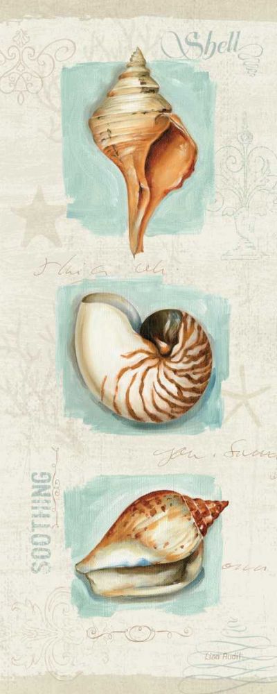 Coastal Jewels Panel II art print by Lisa Audit for $57.95 CAD