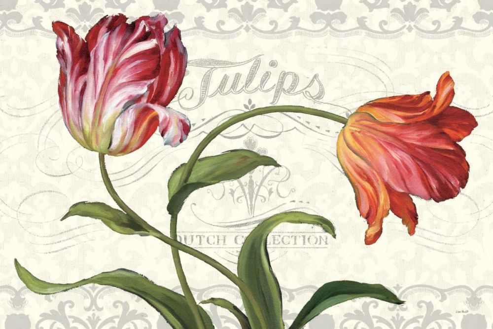 Tulipa Botanica I Cream art print by Lisa Audit for $57.95 CAD