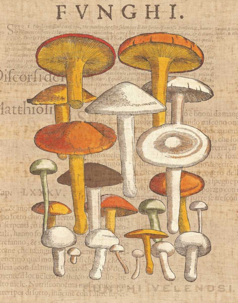 Funghi Velenosi II art print by Wild Apple Portfolio for $57.95 CAD
