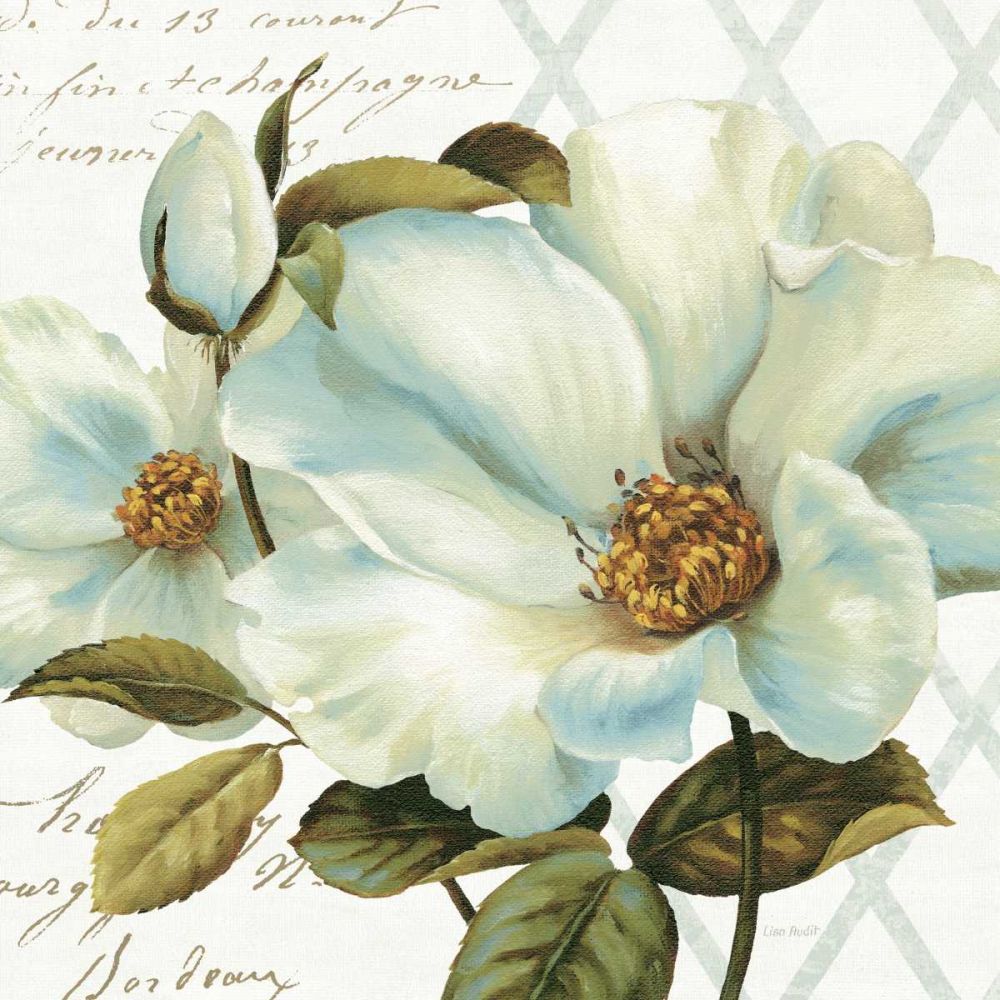 White Floral Bliss II art print by Lisa Audit for $57.95 CAD