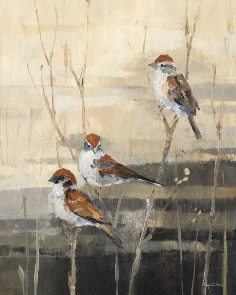 Evening Sanctuary III art print by Avery Tillmon for $57.95 CAD