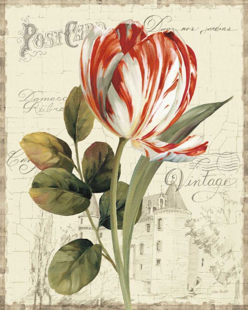 Garden View II - Red Tulip art print by Lisa Audit for $57.95 CAD