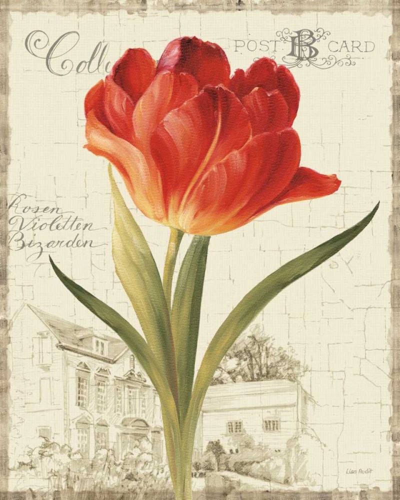 Garden View III - Red Tulip art print by Lisa Audit for $57.95 CAD