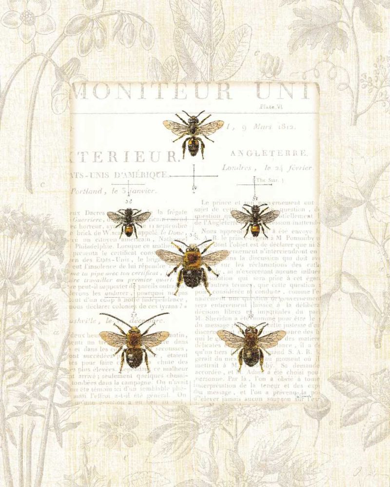 Bee Botanical art print by Sue Schlabach for $57.95 CAD