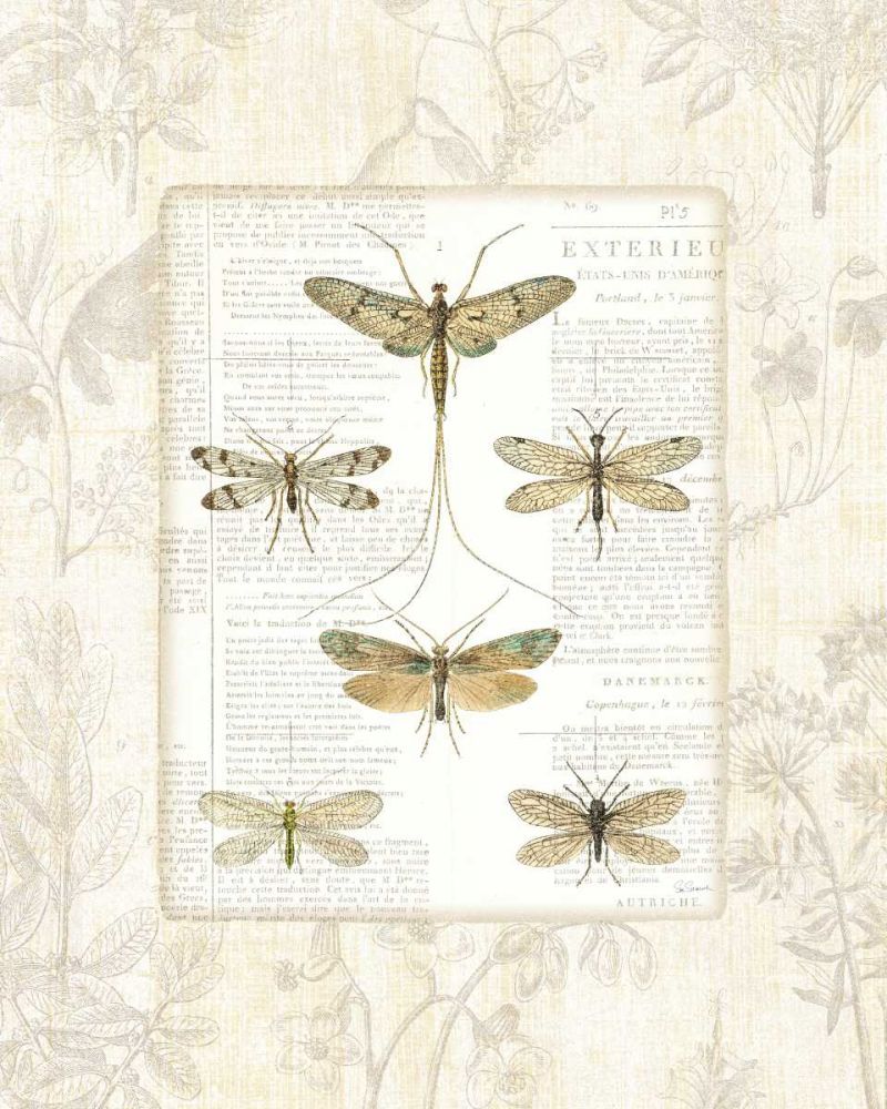 Dragonfly Botanical art print by Sue Schlabach for $57.95 CAD