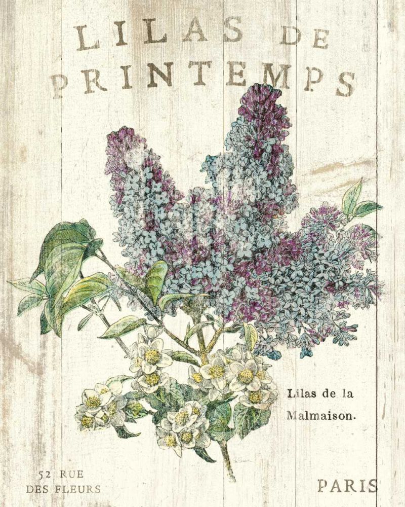 Lilas de Printemps art print by Sue Schlabach for $57.95 CAD