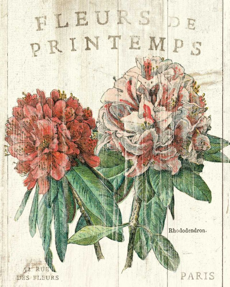 Fleur de Printemps art print by Sue Schlabach for $57.95 CAD