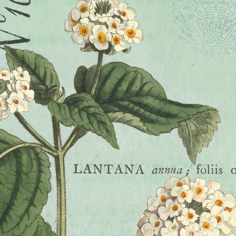 Botanique Bleu I art print by Wild Apple Portfolio for $57.95 CAD