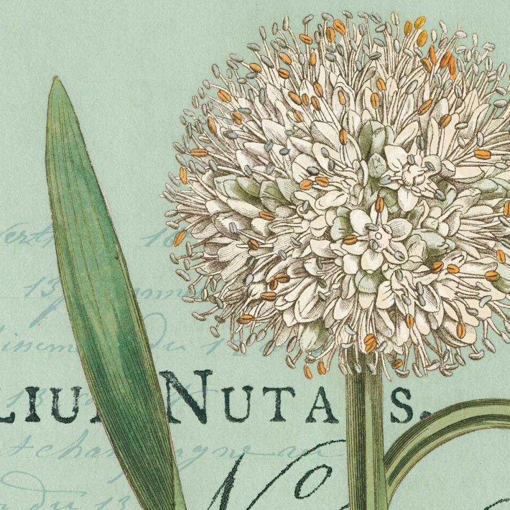 Botanique Bleu II art print by Wild Apple Portfolio for $57.95 CAD