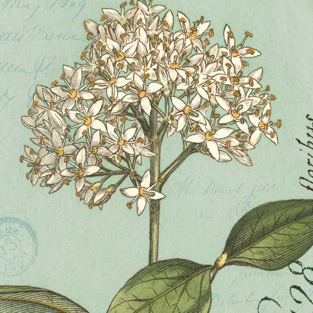 Botanique Bleu IV art print by Wild Apple Portfolio for $57.95 CAD