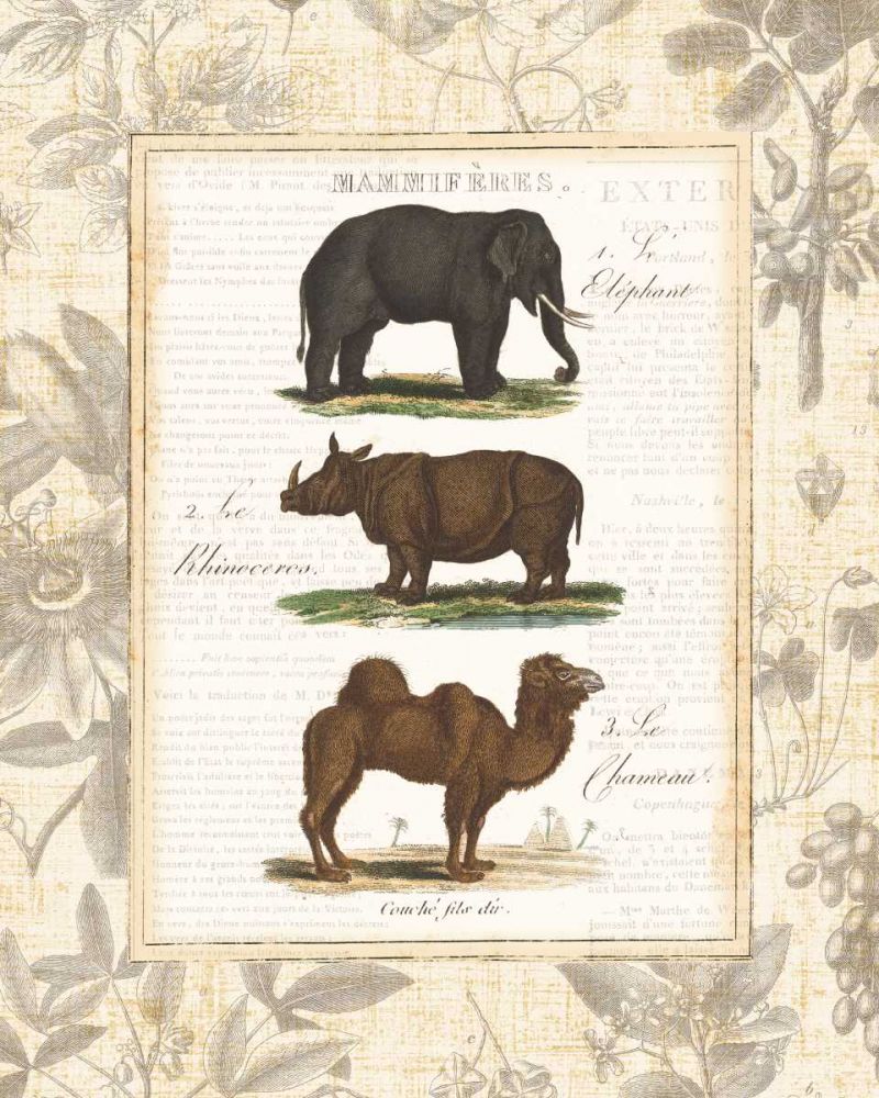 African Animals II art print by Wild Apple Portfolio for $57.95 CAD