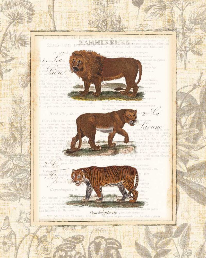 African Animals IV art print by Wild Apple Portfolio for $57.95 CAD