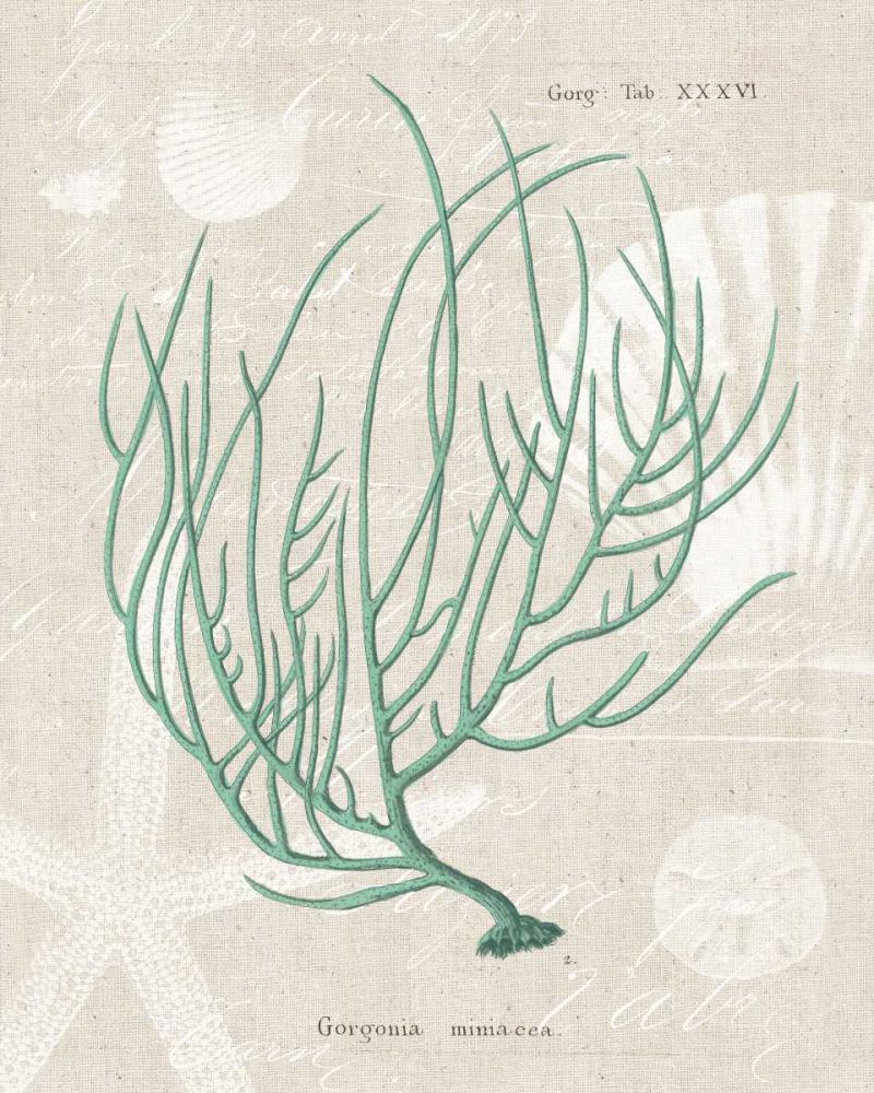 Gorgonia Miniacea on Linen Sea Foam art print by Wild Apple Portfolio for $57.95 CAD