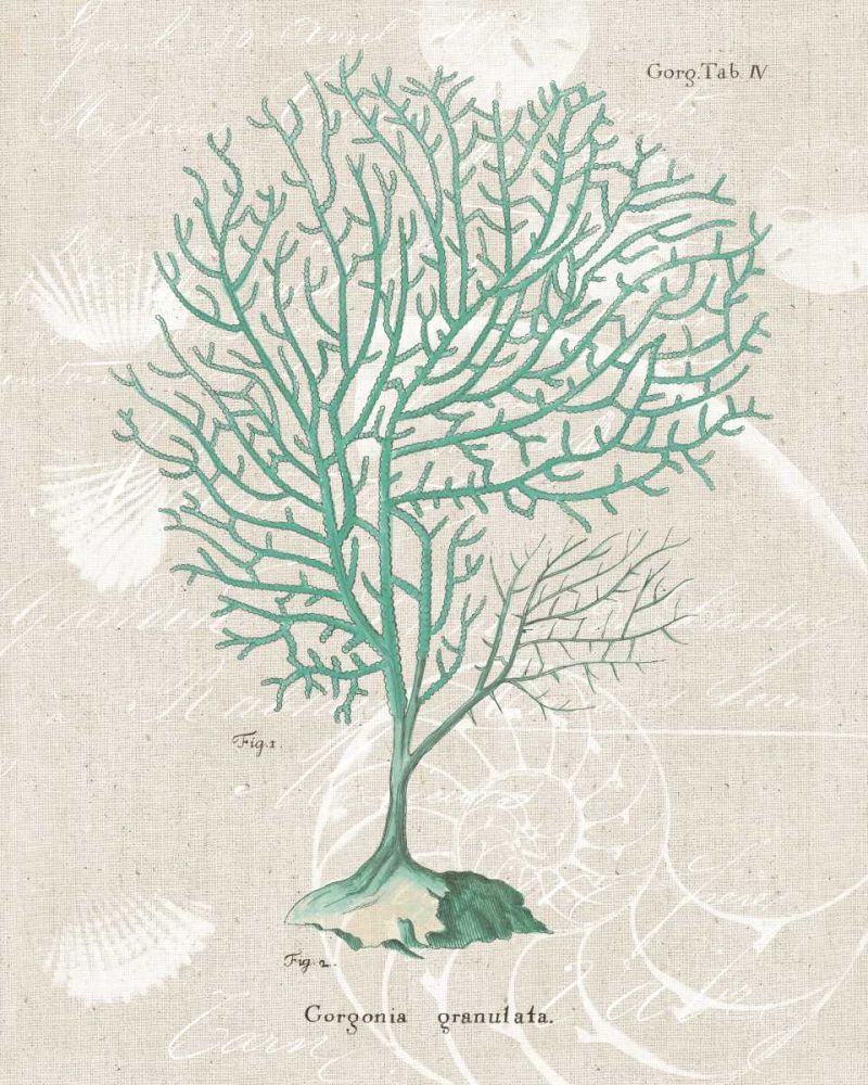 Gorgonia Granulata on Linen Sea Foam art print by Wild Apple Portfolio for $57.95 CAD