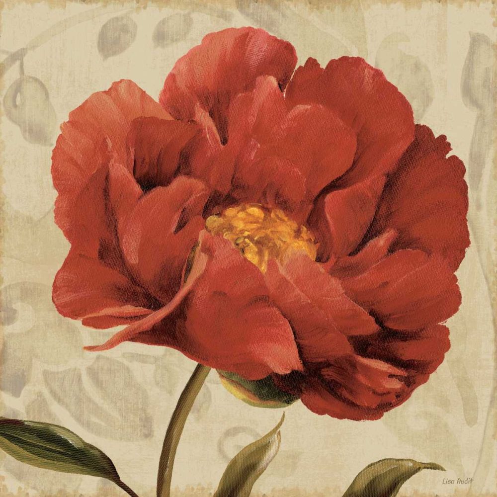 Floral Romance II C art print by Lisa Audit for $57.95 CAD