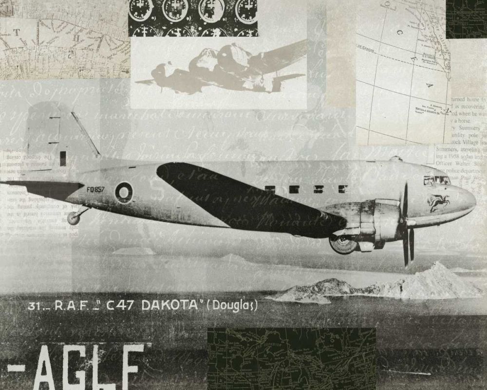Wings Collage IV art print by Wild Apple Portfolio for $57.95 CAD